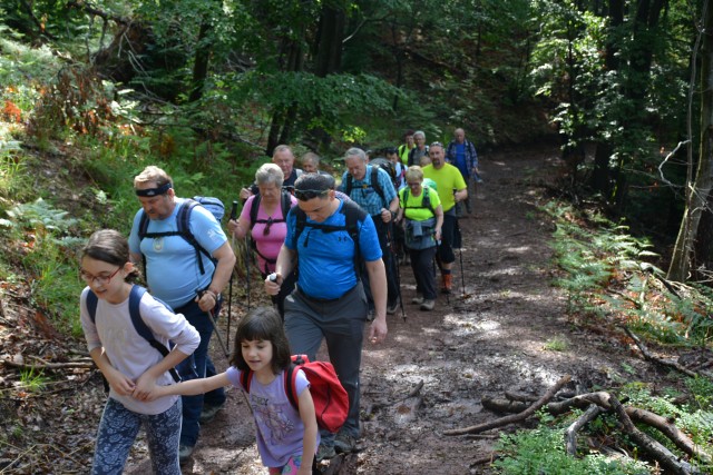 Srečanje društev notranje regije, 21.05.2017 - foto