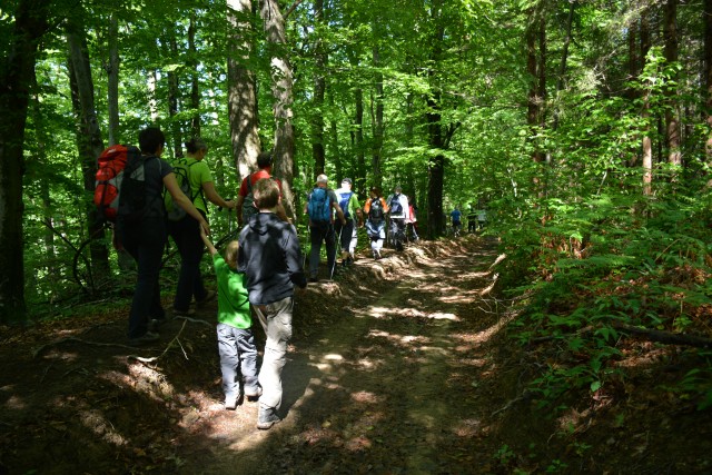 Srečanje društev notranje regije, 21.05.2017 - foto