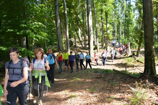 Srečanje društev notranje regije, 21.05.2017 - foto