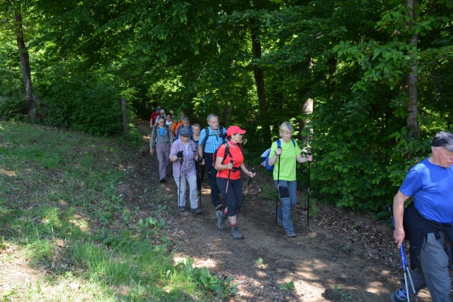 Srečanje društev notranje regije, 21.05.2017 - foto