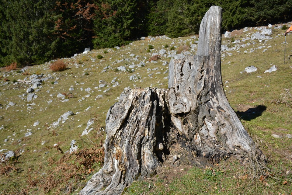 Vrtaška planina in Vrtaški vrh, 15.10.2017 - foto povečava