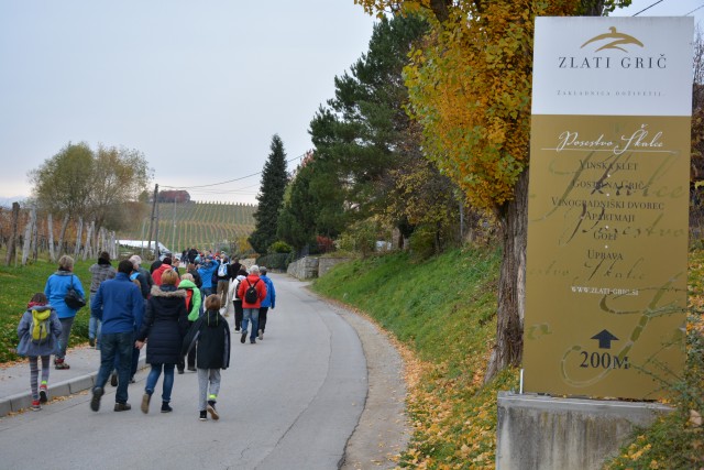 Vinorodna pot