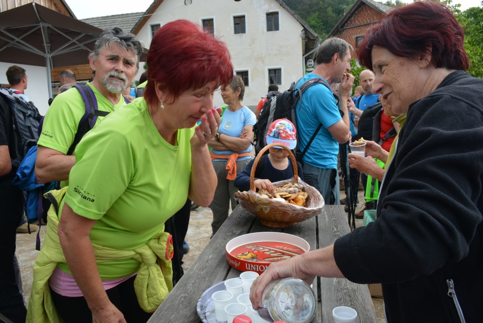 Polhograjska Grmada