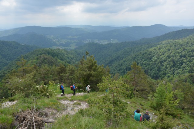 Polhograjska Grmada