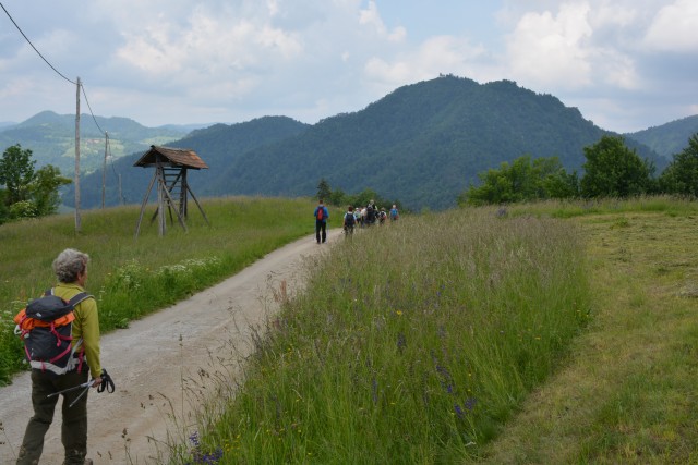 Polhograjska Grmada