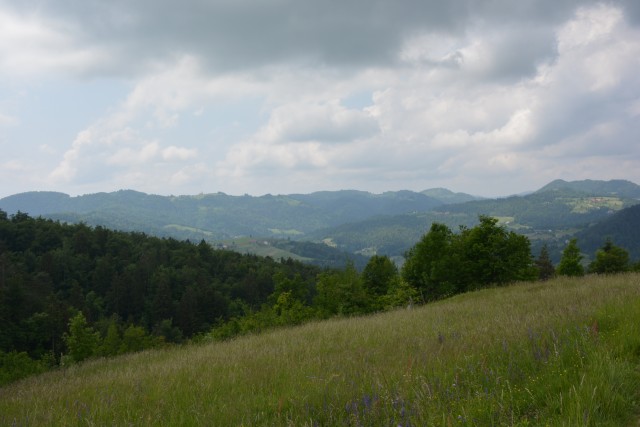 Polhograjska Grmada