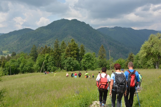 Polhograjska Grmada