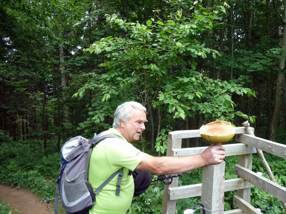 Uršlja gora