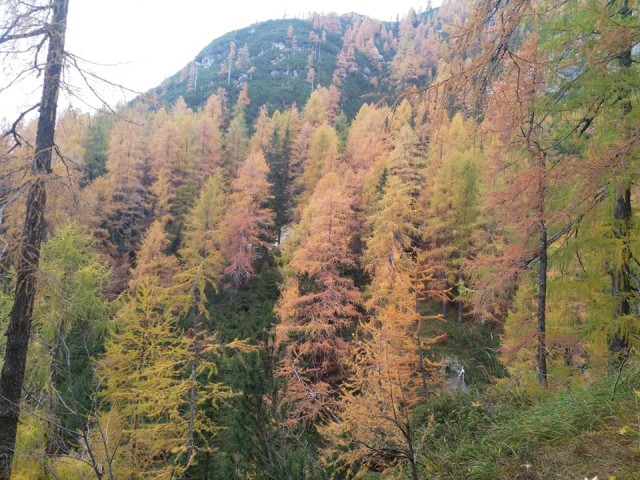 Koča Rifugio Zacchi