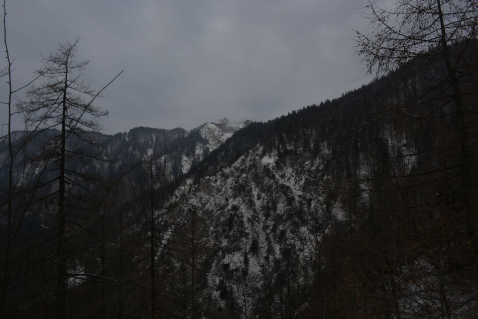 Planina Korošica