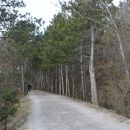 Dolina Glinščica