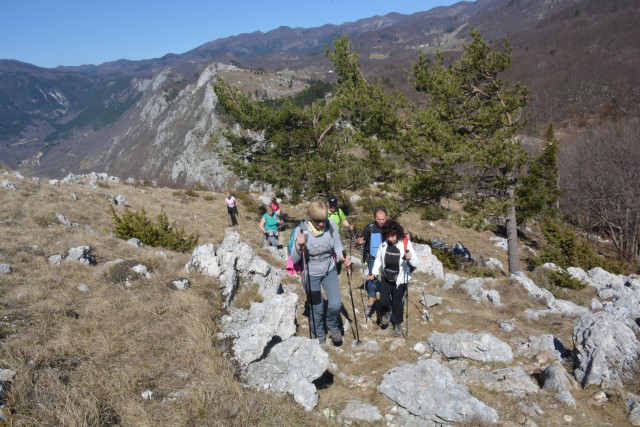 Sinji Vrh (Po Robu)