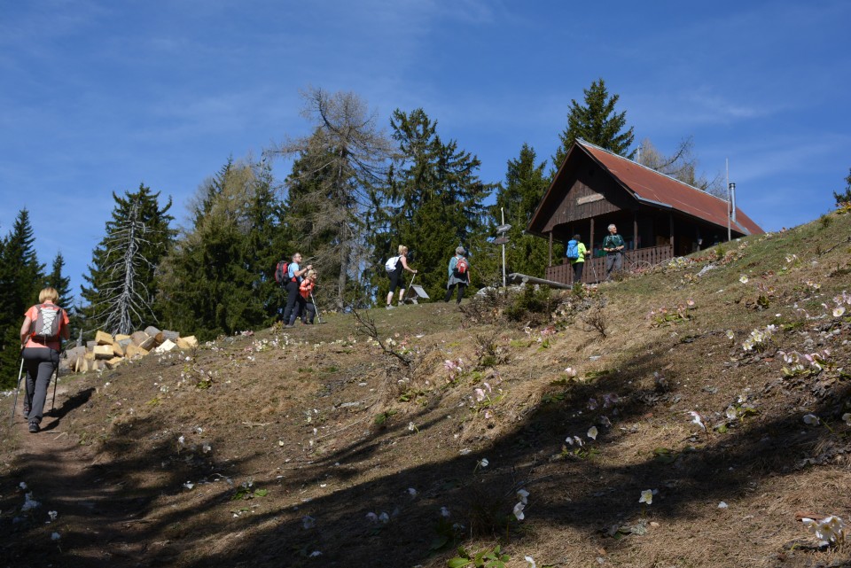 Mojčin dom na Vitrancu