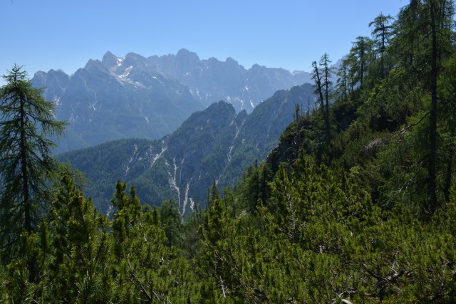 Ciprnik