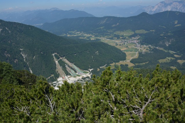 Ciprnik