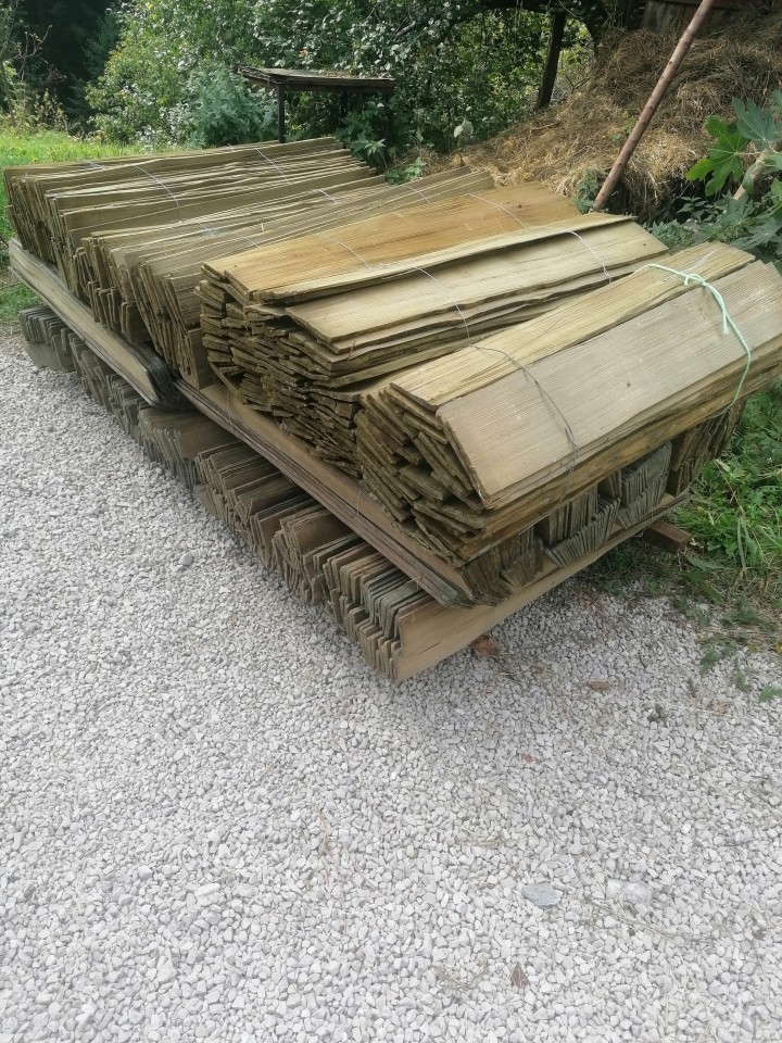 šitli - foto povečava