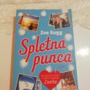 Spletna punca knjiga