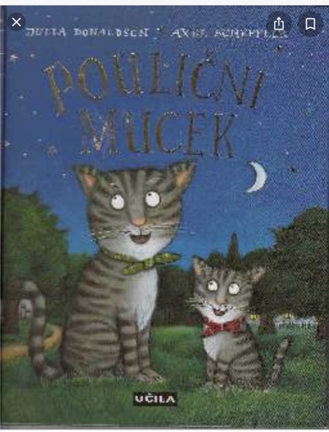 Poulicni mucek