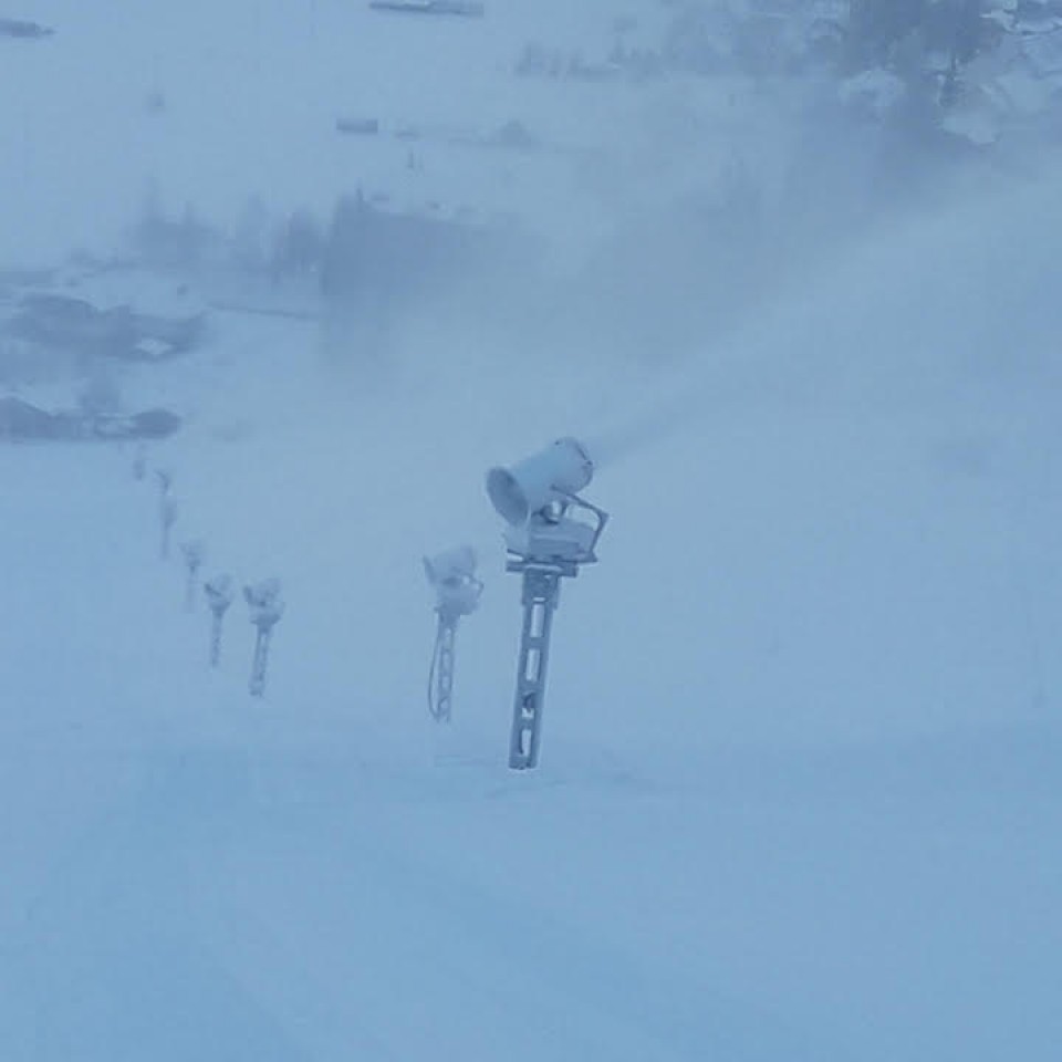 Dolenčev rut - foto povečava