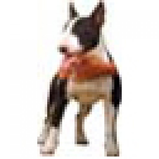 Zulog Snoopy