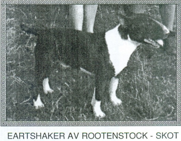 Eartshaker Av Rootenstock