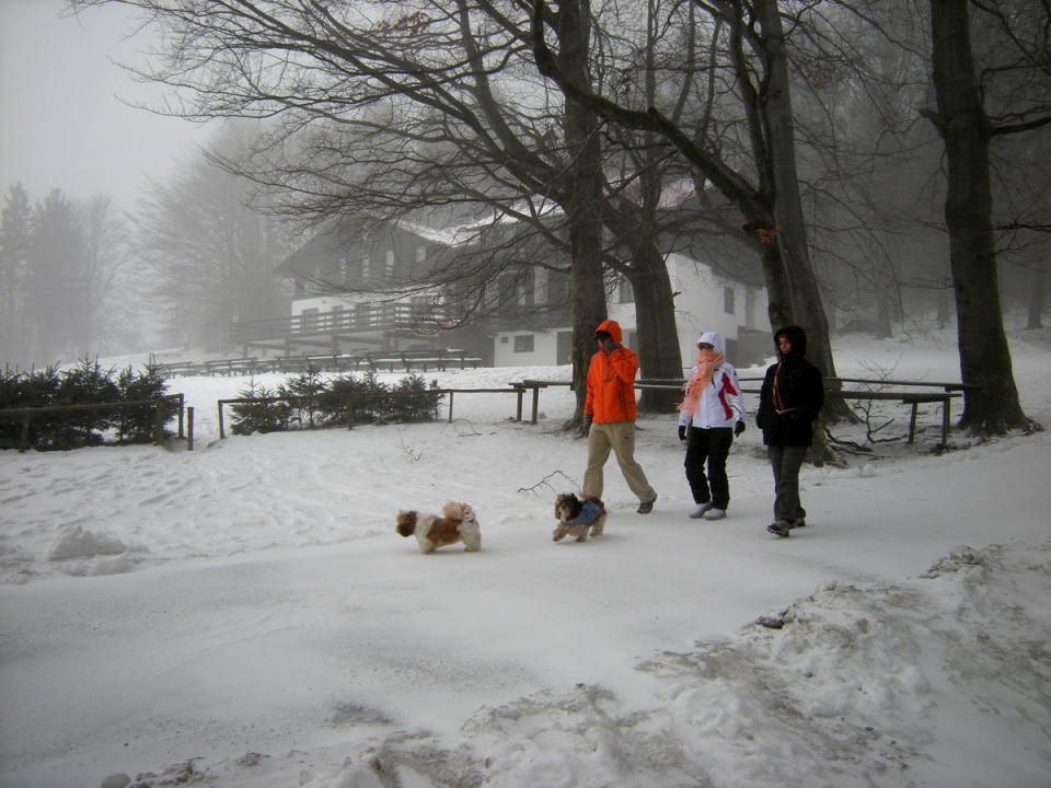 Kal, 25. 12. 2008 - foto povečava