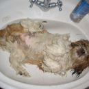 A si ziher, da ta jacuzzi dela?