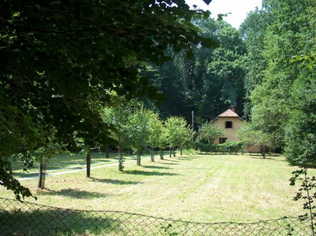 Med drevoredom do Logarnice