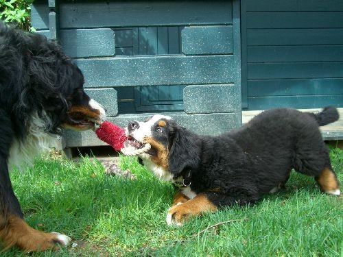 Pia, zen i monty - foto