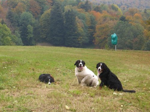 Pia, zen&skipper - foto