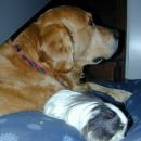 skipper&zigi
