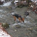 sljeme 15.3.06