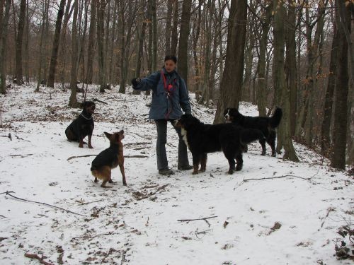 Sljeme 15.3.06 - foto povečava