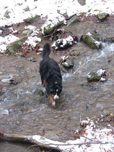 Sljeme 15.3.06 - foto