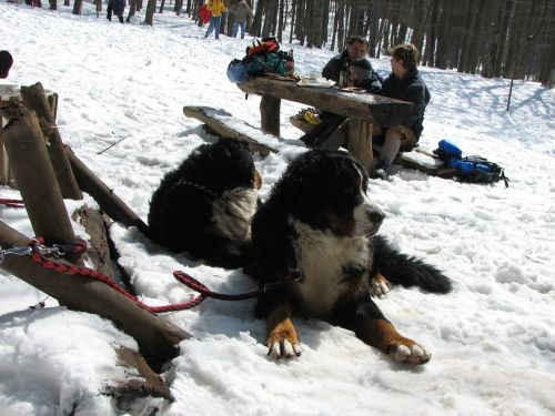 Sljeme 19.3.06 - foto povečava