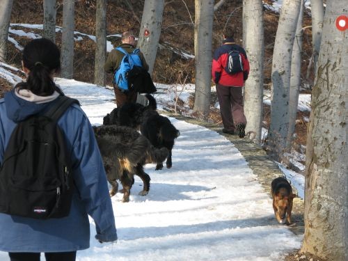 Sljeme 19.3.06 - foto povečava