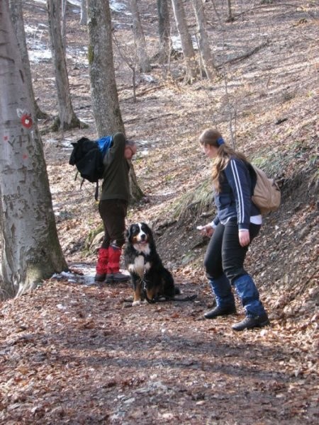 Sljeme 19.3.06 - foto povečava