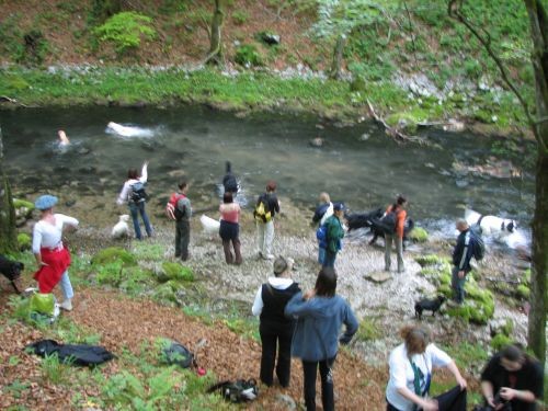 NeSi izlet Kamačnik 20.5.06. - foto povečava