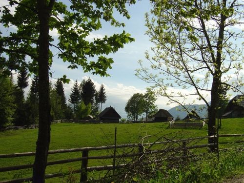 Green, Altea i Pia na Bohinju i Pokljuki 27.5 - foto