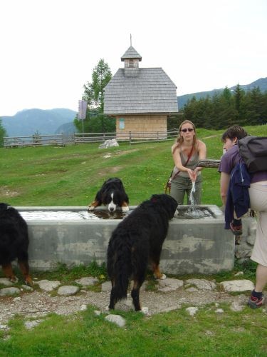 Green, Altea i Pia na Bohinju i Pokljuki 27.5 - foto povečava