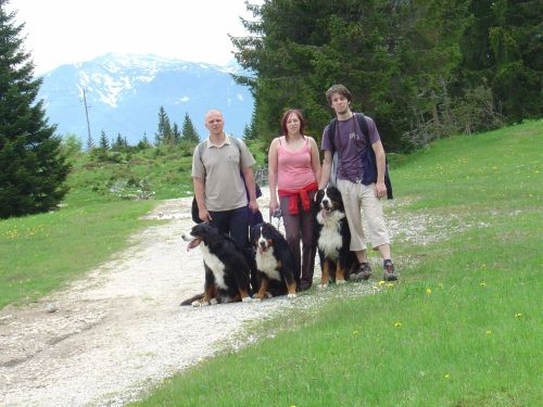 Green, Altea i Pia na Bohinju i Pokljuki 27.5 - foto