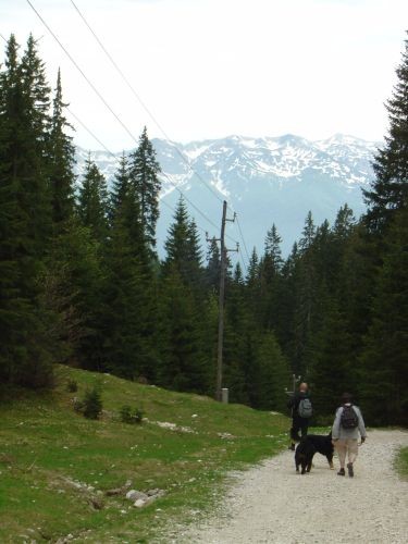 Green, Altea i Pia na Bohinju i Pokljuki 27.5 - foto