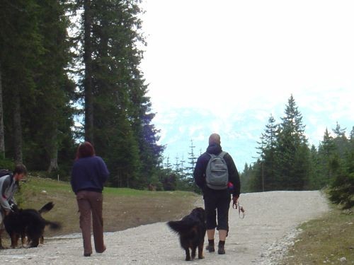 Green, Altea i Pia na Bohinju i Pokljuki 27.5 - foto