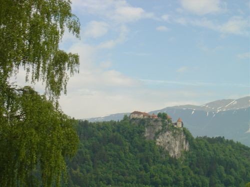 Green, Altea i Pia na Bohinju i Pokljuki 27.5 - foto