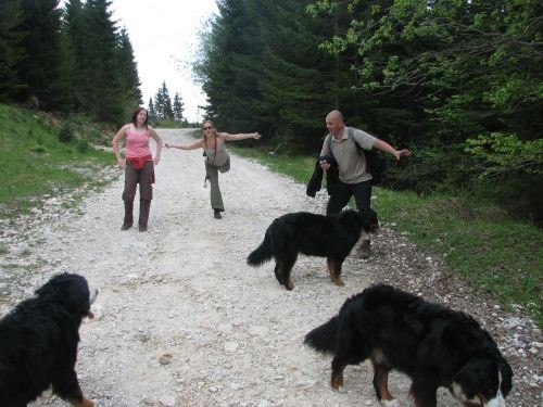 Green, Altea i Pia na Bohinju i Pokljuki 27.5 - foto povečava