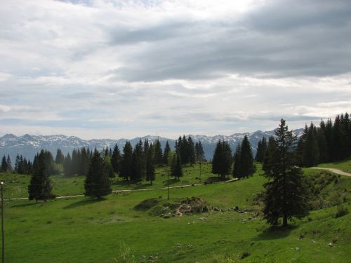 Green, Altea i Pia na Bohinju i Pokljuki 27.5 - foto povečava