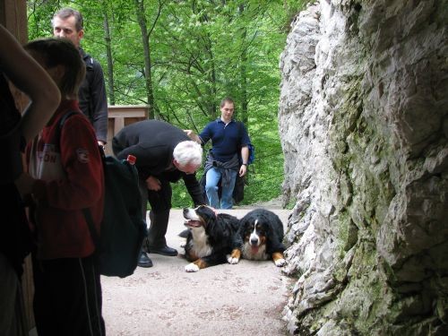 Green, Altea i Pia na Bohinju i Pokljuki 27.5 - foto