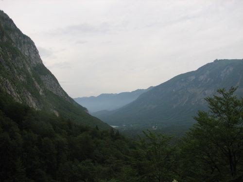 Green, Altea i Pia na Bohinju i Pokljuki 27.5 - foto