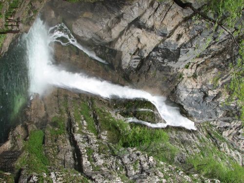 Green, Altea i Pia na Bohinju i Pokljuki 27.5 - foto