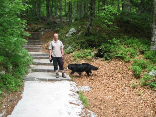 Green, Altea i Pia na Bohinju i Pokljuki 27.5 - foto povečava